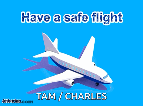 Have A Safe Flight Tam GIF