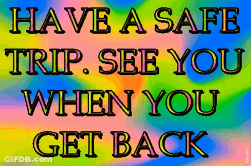 Have A Safe Trip See You Back GIF