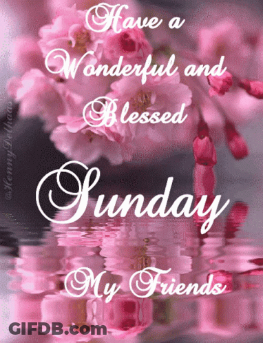 Have A Wonderful And Blessed Sunday My Friends With Flowers In The Background GIF