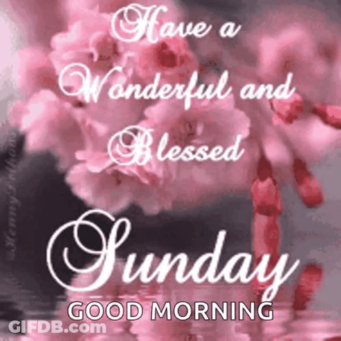 Have A Wonderful And Blessed Sunday GIF
