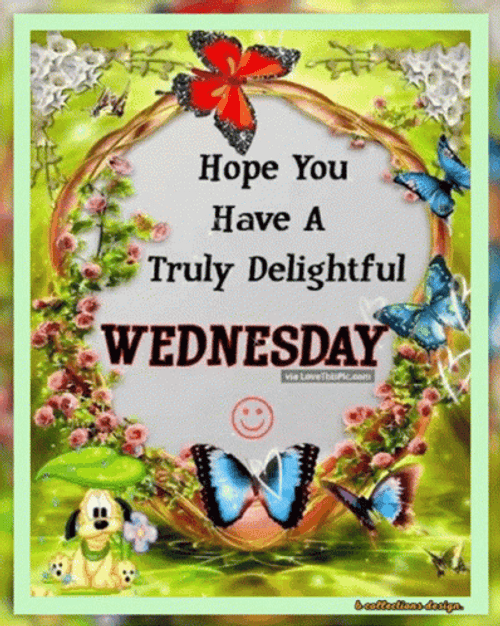 Have A Wonderful And Delightful Wednesday GIF