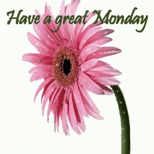 Have A Wonderful And Great Monday GIF