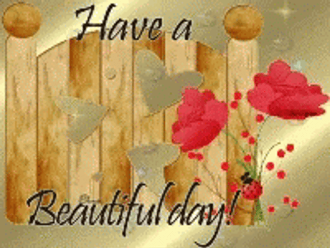 Have A Wonderful And Sparkling Wednesday GIF