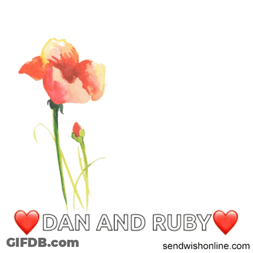 Have A Wonderful Anniversary Dan And Ruby GIF