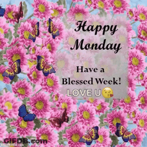 Have A Wonderful Blessed Monday GIF