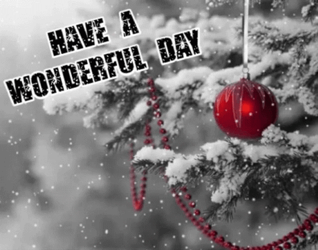 Have A Wonderful Christmas Wednesday GIF