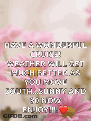 Have A Wonderful Cruise Weather Will Get Much Better As You Move South..sunny And 80 Now Enjoy !!! GIF