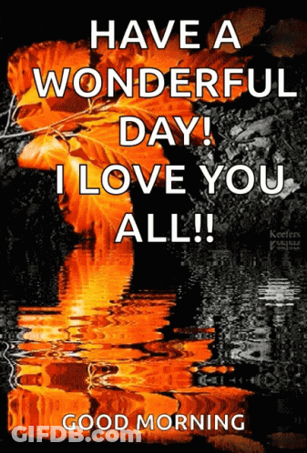 Have A Wonderful Day I Love You All Good Morning GIF