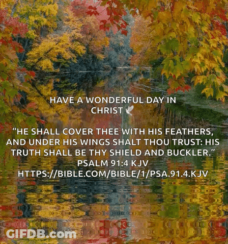 Have A Wonderful Day In Christ River And Trees GIF