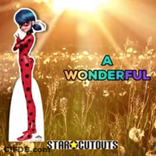 Have A Wonderful Day Ladybug Star Cutouts GIF