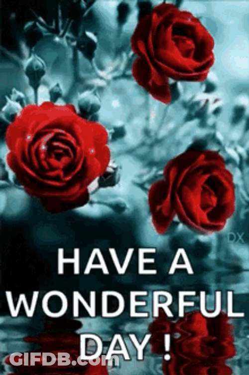Have A Wonderful Day Red Aesthetic Roses Sparkles GIF