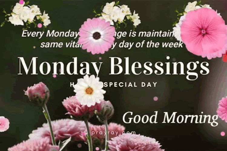 Have A Wonderful Monday Floating Flowers GIF