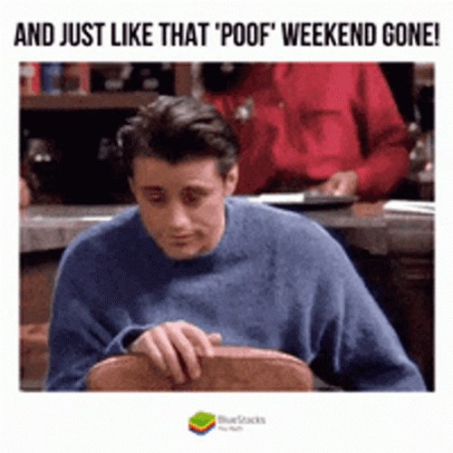Have A Wonderful Monday No More Weekend GIF
