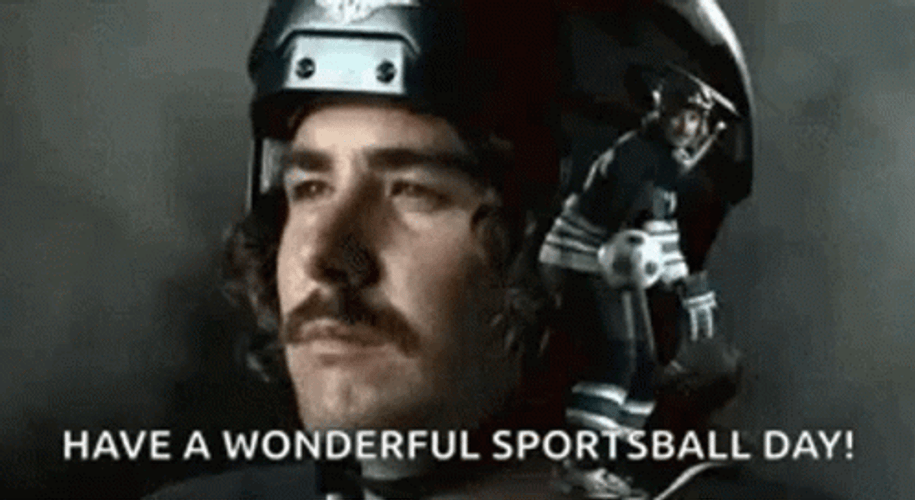 Have A Wonderful Sportsball Day GIF