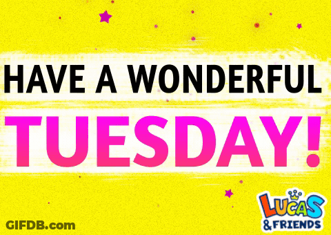 Have A Wonderful Tuesday GIF