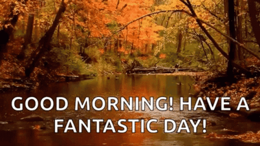 Have A Wonderful Wednesday Autumn Season GIF