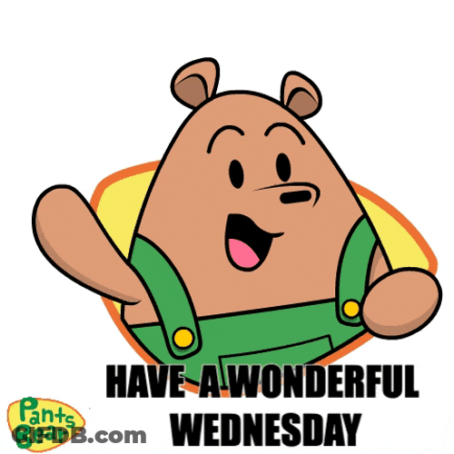 Have A Wonderful Wednesday Brown Bear GIF