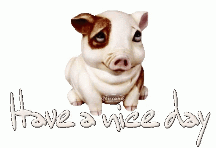 Have A Wonderful Wednesday Cute Pig GIF