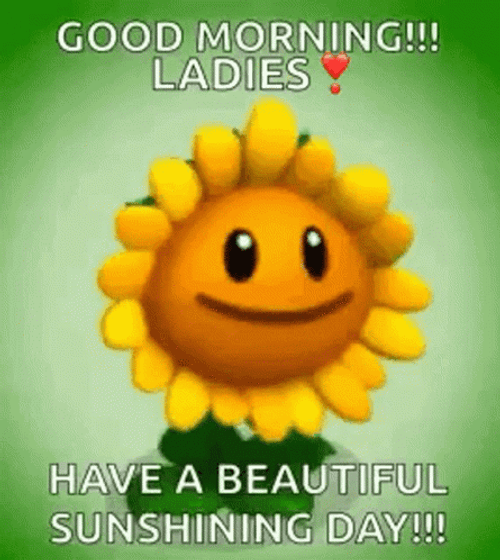 Have A Wonderful Wednesday Sunflower Glow GIF