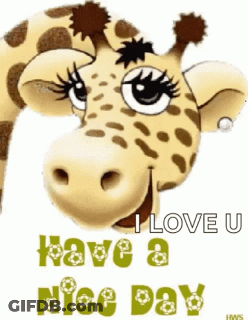 Have A Wonderful Wednesday Winking Giraffe GIF