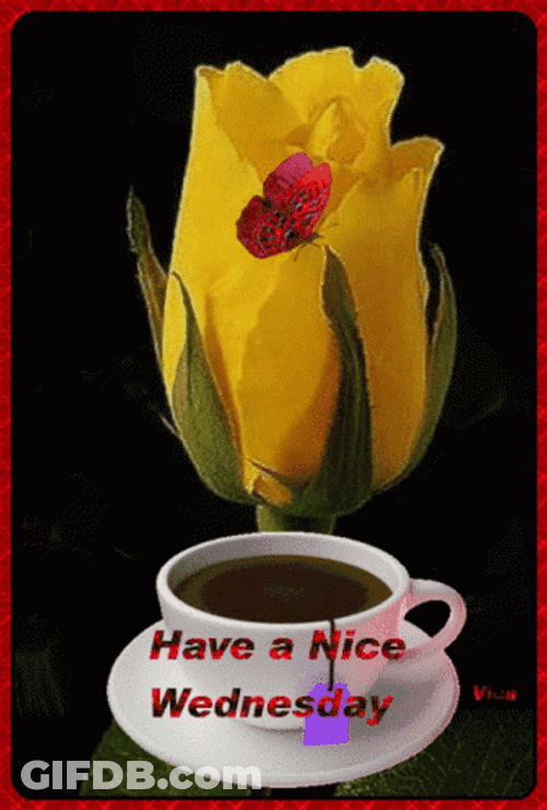Have A Wonderful Wednesday Yellow Tulip GIF