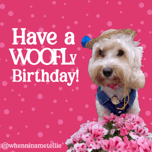 Have A Woofly Happy Birthday Dog GIF