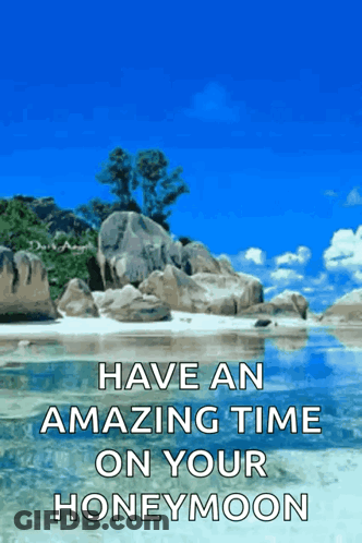 Have An Amazing Time On Your Honeymoon With A Beach Scene GIF