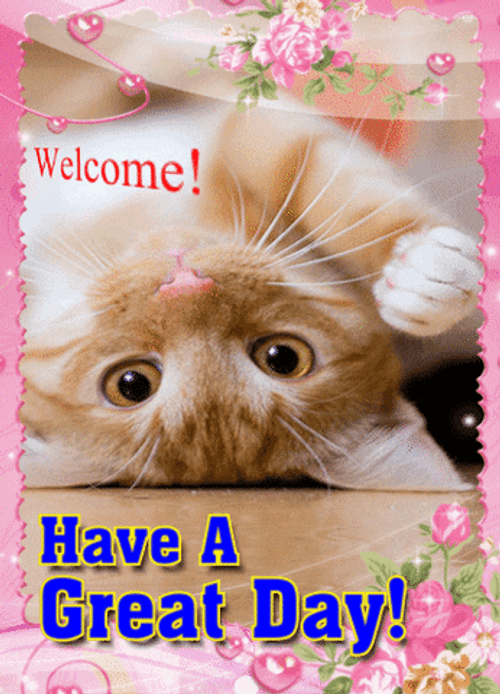 Have An Awesome Day Cat And Flowers GIF