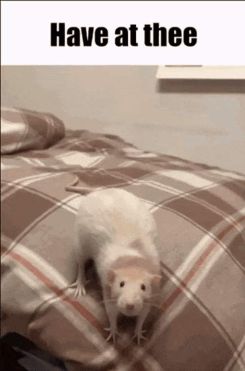 Have At Thee Ratatouille GIF