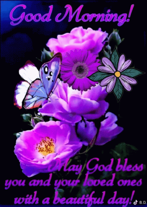 Have Beautiful Day Blessed Good Morning Wednesday GIF