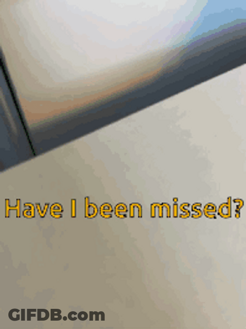 Have I Been Missed Me GIF
