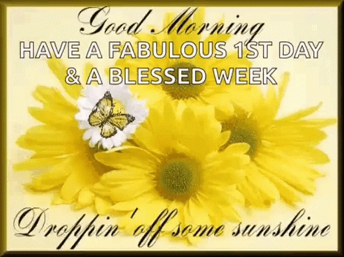 Have July Blessings Fabulous Day GIF