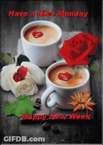 Have Nice Monday Happy New Week Coffee Roses GIF