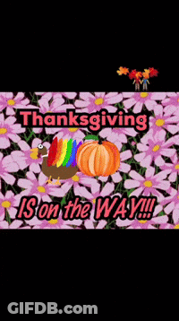 Have The Ga Thanksgiving Is On The Way Poster GIF