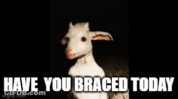 Have You Braced Today Goat GIF