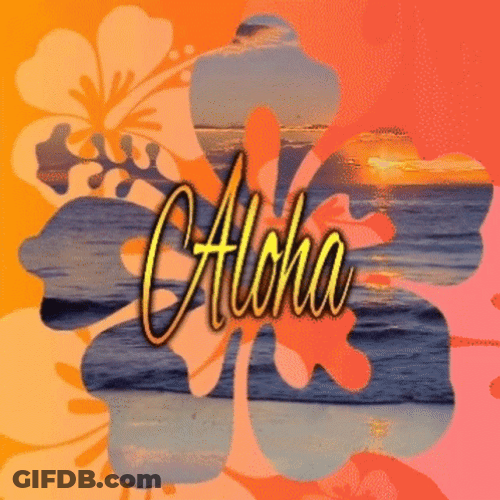 Hawaii Aloha Beach GIF