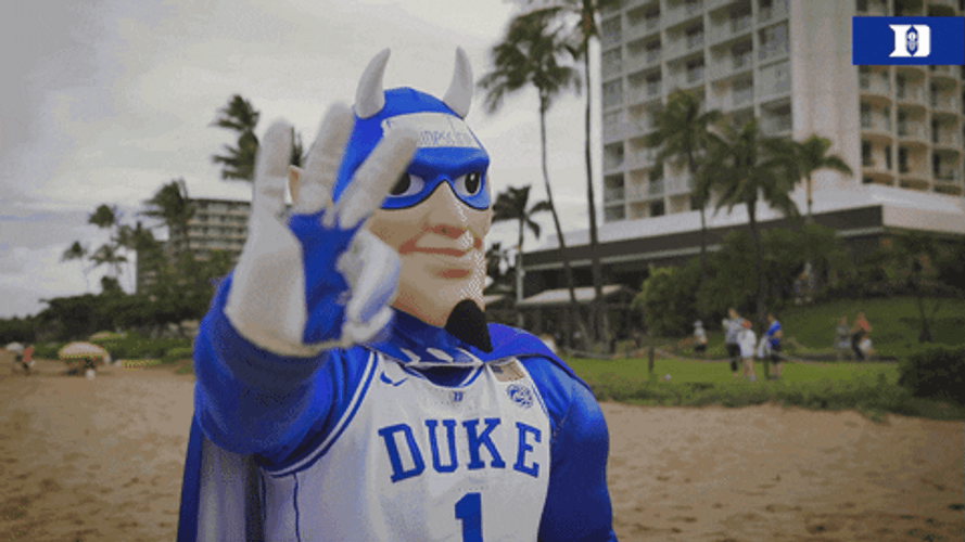 Hawaii Game Number 3 Mascot Football GIF