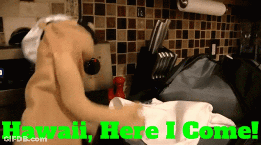 Hawaii Here I Come GIF