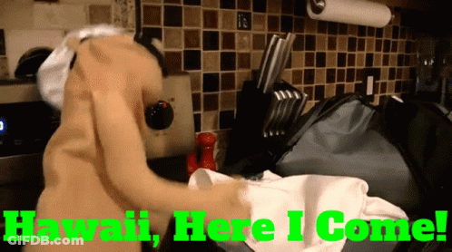 Hawaii Here I Come Written In Green On A Kitchen Scene GIF