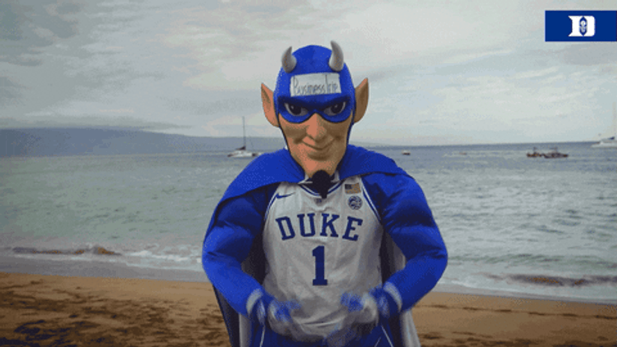Hawaii Mascot Football Confused GIF