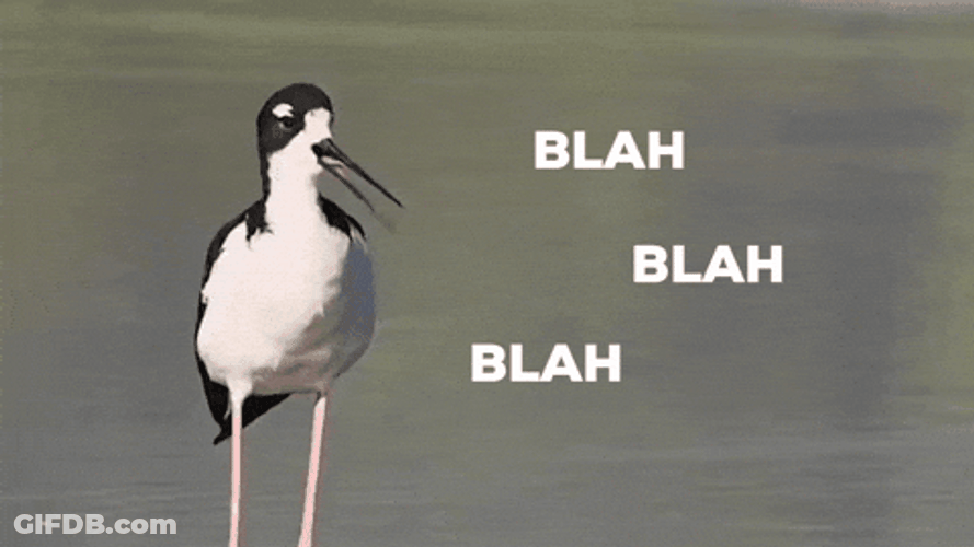 Hawaiian Stilt Yap In The Water GIF
