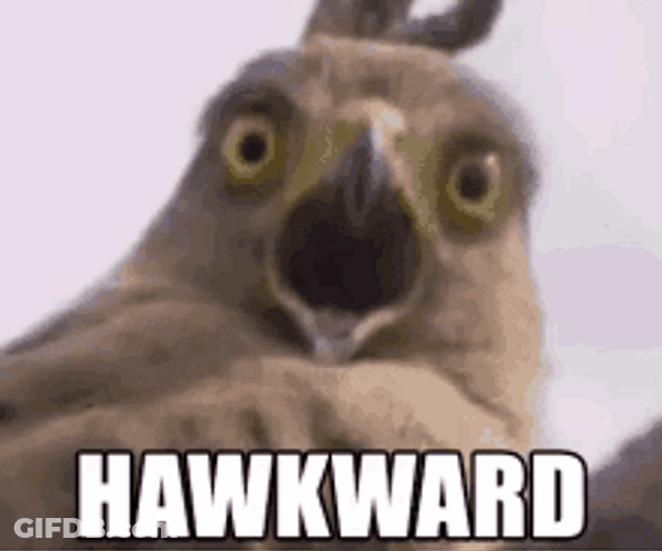 Hawk Hawkward Shocked Reaction GIF