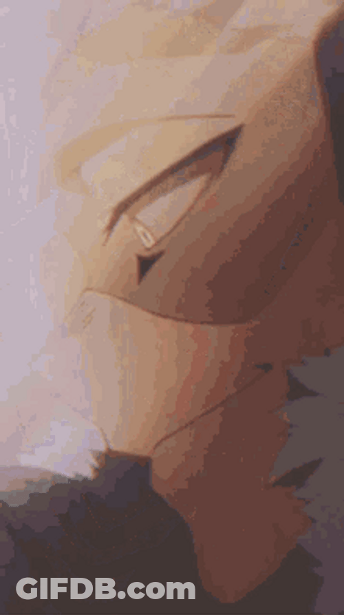 Hawk Hero Academia Sparkling Smiles GIF
