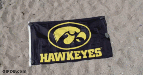 Hawkeyes Flag Laying On Sand On Beach GIF