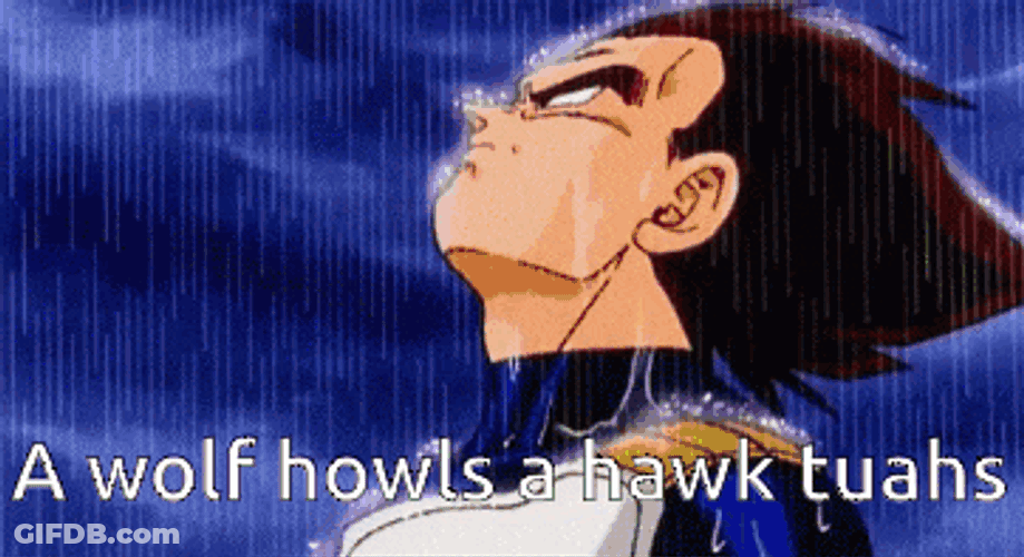 Hawktuah0987654321 GIF