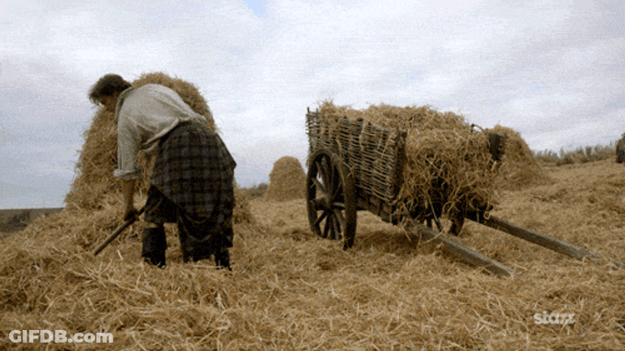 Hay Outlander Scene Farming GIF