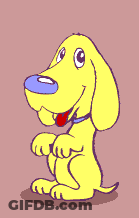 Hazme Caso GIF