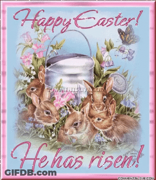 He Is Risen Cute Bunnies GIF