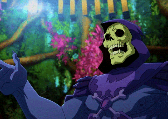 He Man Skeletor Shocked Angry GIF