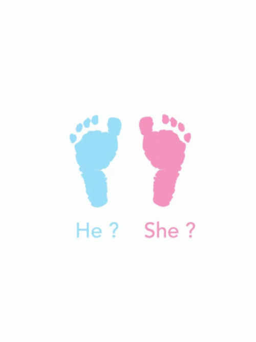 He Or She Baby Shower GIF